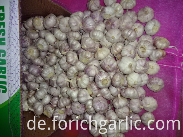 2019 Fresh Garlic Jinxiang